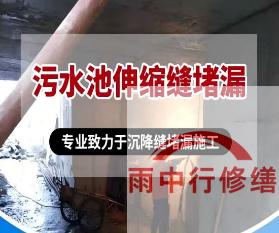 福州2026年高分子防水卷材成高端市场主流，光伏屋面需求爆发